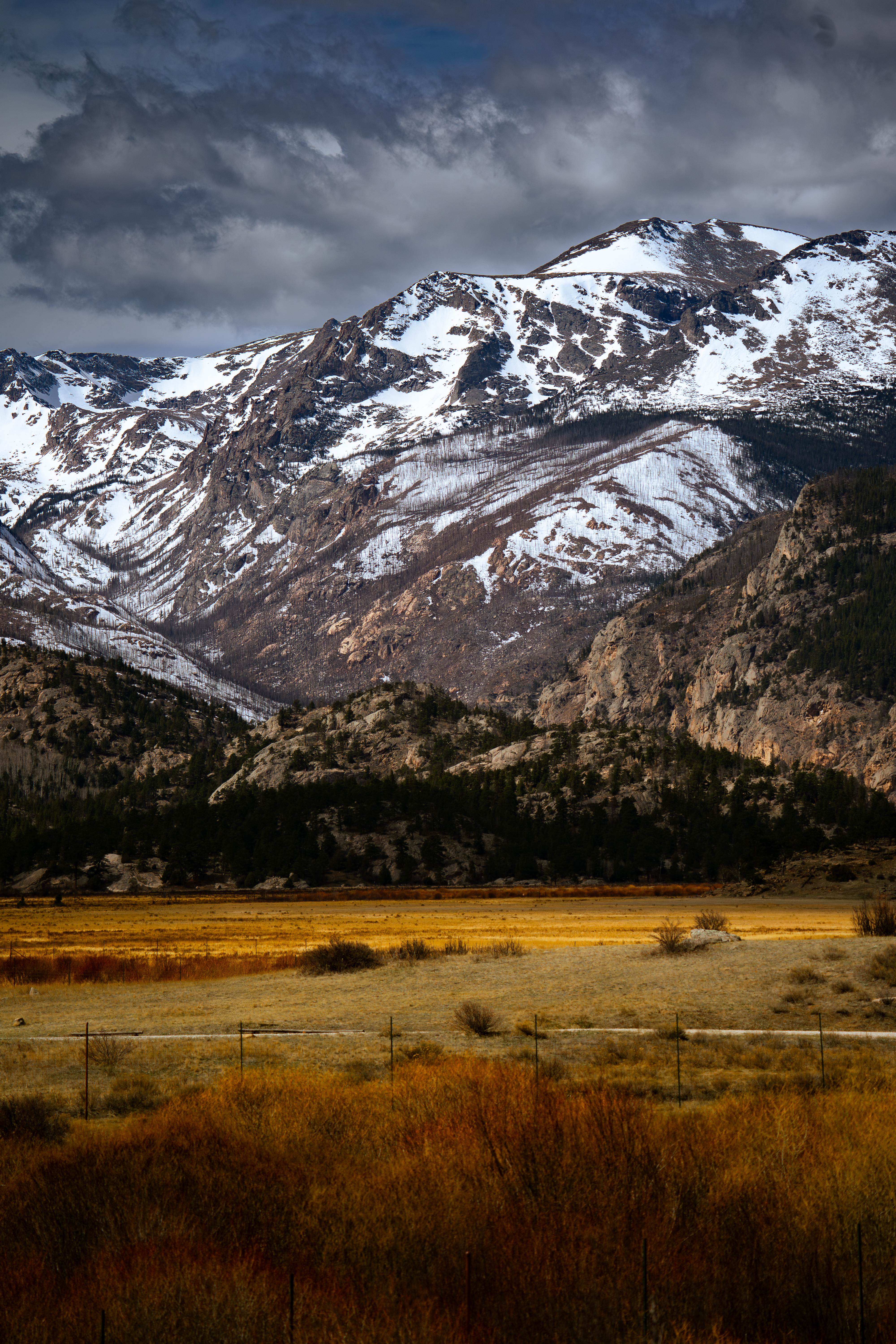 Mountain with Red Grass in Front