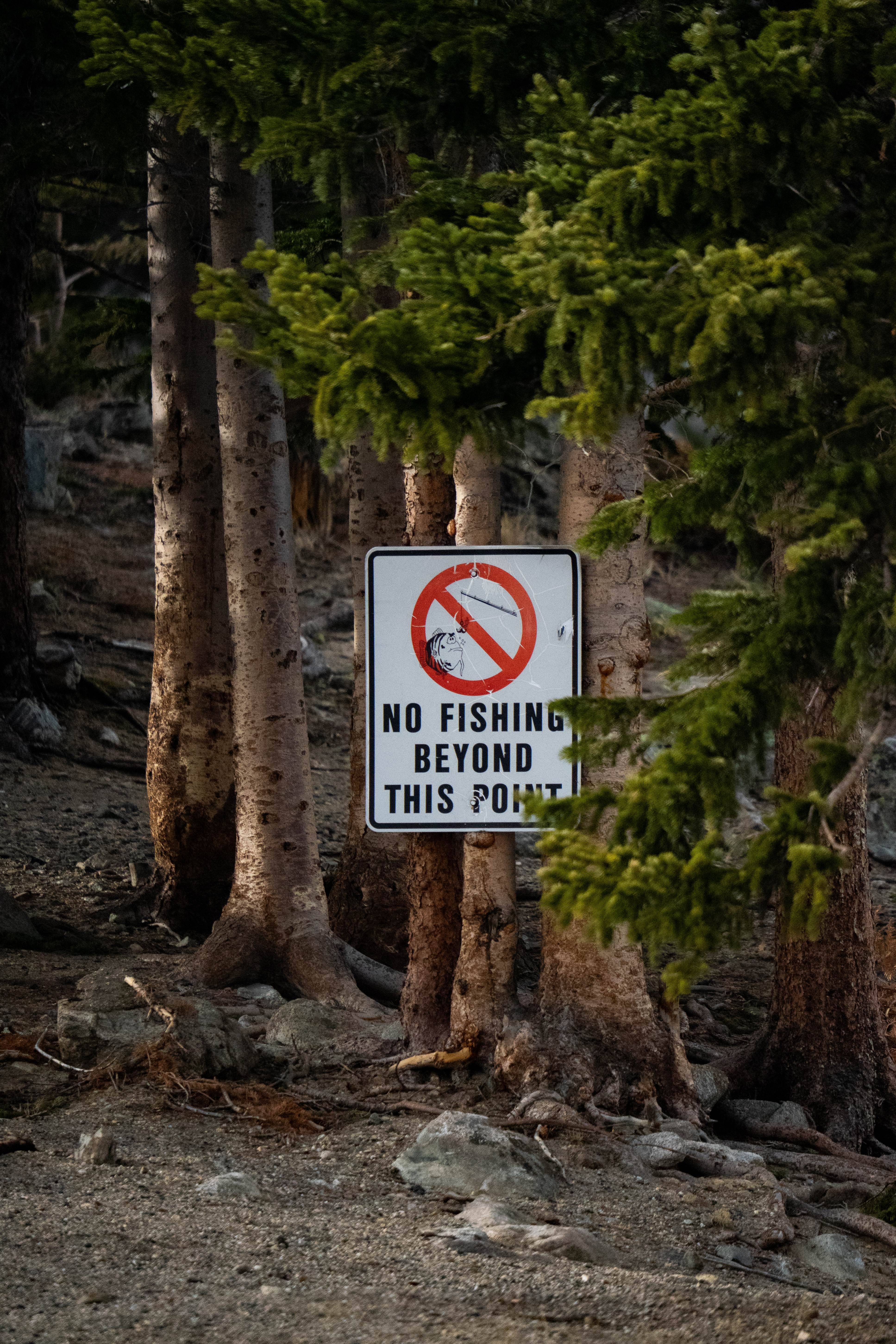 No Fishing Beyond This Point